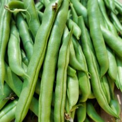 Bean Climbing French