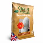 Cactus Focus – Repotting Mix