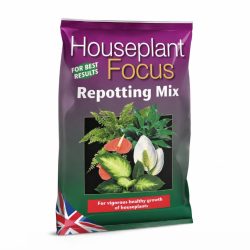 Houseplant Repotting Mix – Focus