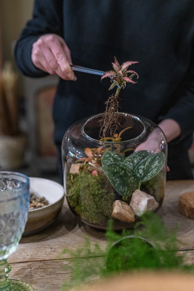 Terrarium Evening Workshop - 28th October
