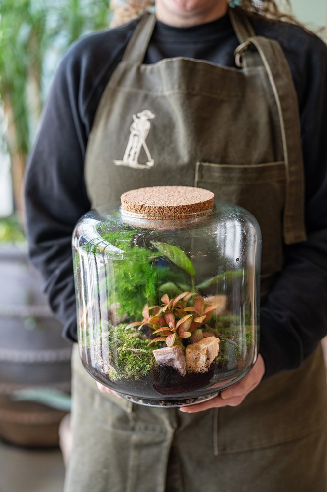 Terrarium Evening Workshop - 28th October - Image 3