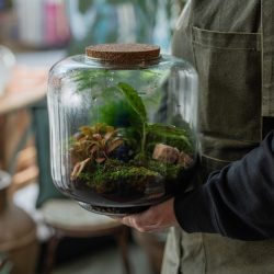 Terrarium Evening Workshop – 11th November