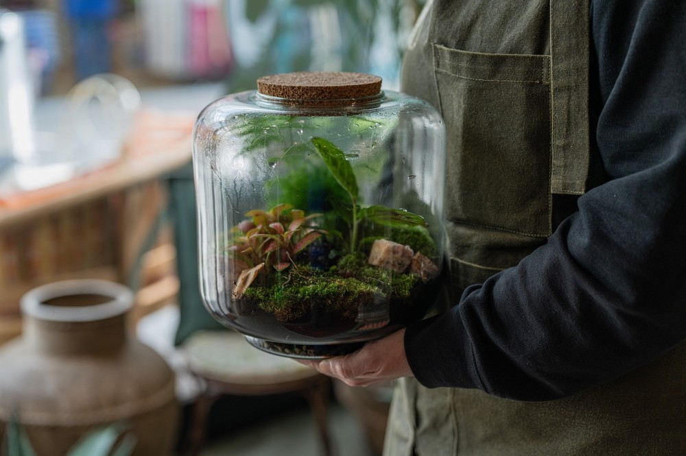 Terrarium Evening Workshop - 28th October - Image 2
