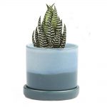 Minute Planter 2 – Blue Aqua – 7.5CM