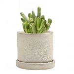 Minute Planter 2 – Ivory Speckles – 7.5CM