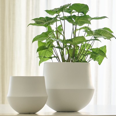 Fusion Pot White - Image 2