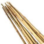 Bamboo Canes