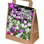 Blooms, Bees & Butterflies – Pink Shades