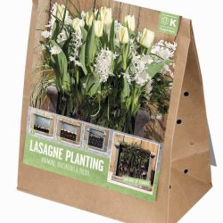 Lasagne Planting – White & Cream Collection