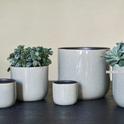 Orchid Pot Grey