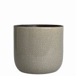 Orchid Pot Africa Grey