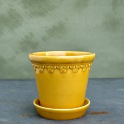 Copenhagen Pot And Saucer, Amber Yellow