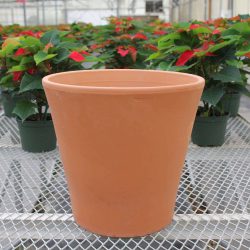 Vaso Cono Terracotta Pot – White Garden