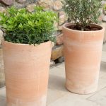 Poterie Goicoechea – Cuvier Haut Droit Pot