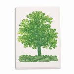 Oak Tree – Card
