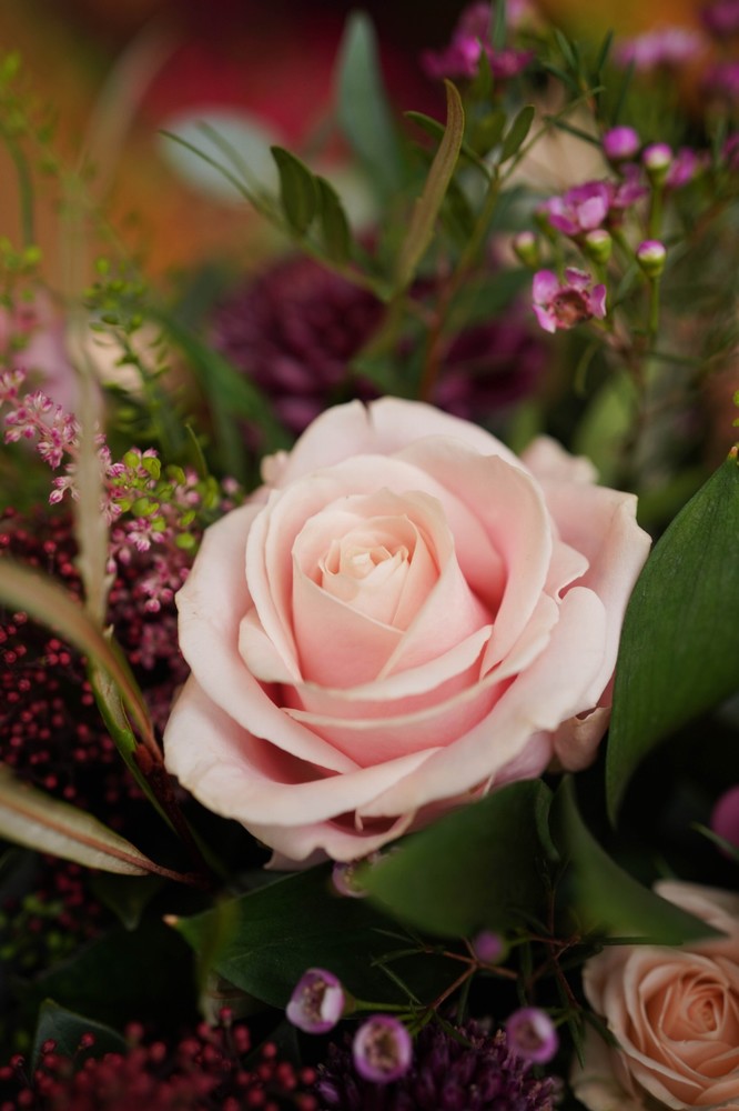 Don't Forget to Remember Me