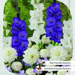 RESPECT NATURE  – HEAVEN