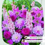 RESPECT NATURE  – PINK CARPET