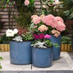 Flowerpot – terracotta – brownblue glazed