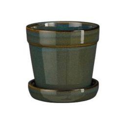 Clint pot with saucer green