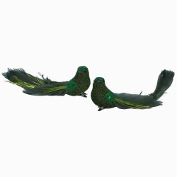 Curly Tail Bird Clip