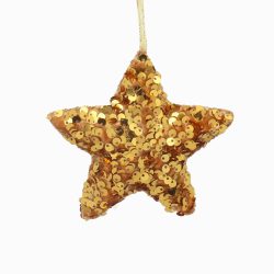 Gold Sequin Star