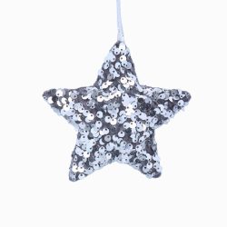 Silver Sequin Star