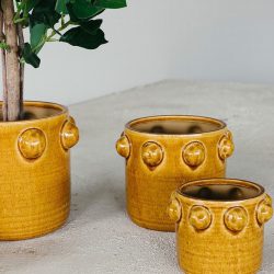 Onyx Pot – Maple