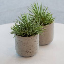 Charlie Pot – Grey Washed