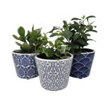 Delphi Midnight Plant Pot