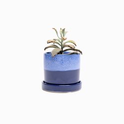 Minute Planter – Cobalt