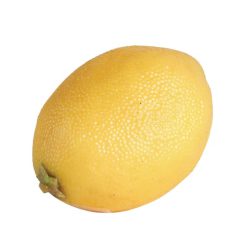 Lemon – Decorative Item