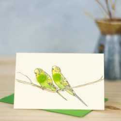 Mini Green Budgerigars Card