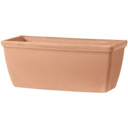 Roman Plain Window Box – White Garden