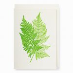 Chelsea Physic Fern Card