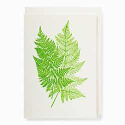 Chelsea Physic Fern Card