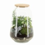 Compo Terrarium 90517