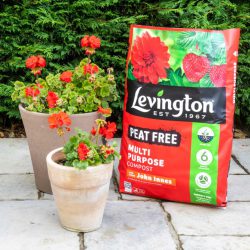 Levington® Peat Free Multi Purpose Compost with added John Innes