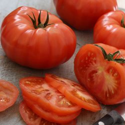 Tomato Supersteak (Beefsteak)