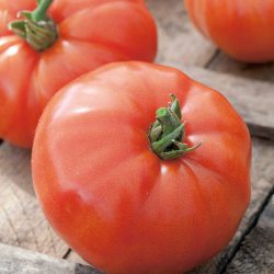 Tomato Supersteak (Beefsteak)