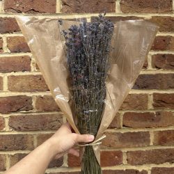 Bunch of Dry Lavender Flowers