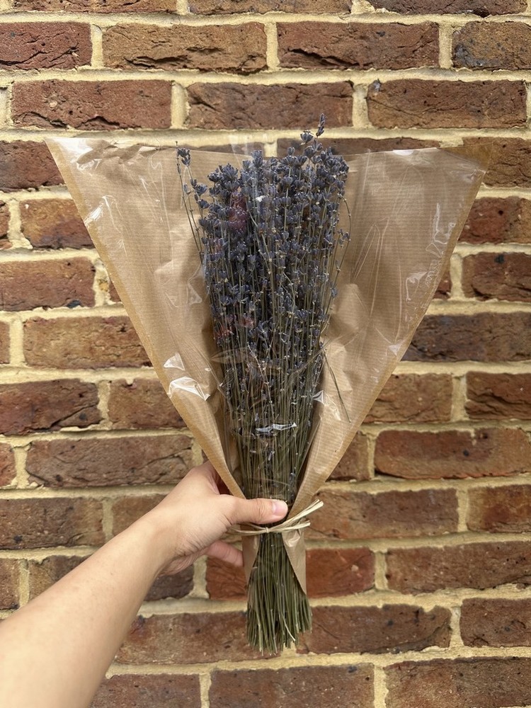 Bunch of Dry Lavender Flowers - Image 2