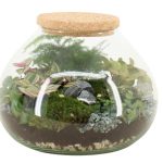 Compo Terrarium 25cm