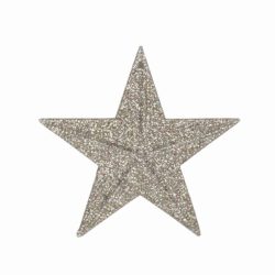 Sparkle Acrylic 5-Point Star