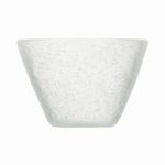Organic Bubble Small Bowl Transparent