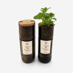 Mint Grow Bottle