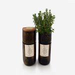 Thyme Grow Bottle
