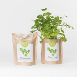 Coriander Grow Bag