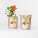 Nasturium Grow Bag