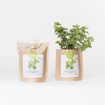 Oregano Grow Bag